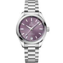 Seamaster Aqua Terra Shades 34 mm, acciaio su acciaio - 22010342010002