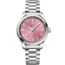 Seamaster Aqua Terra Shades 34 mm, acciaio su acciaio - 22010342010003