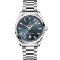 Seamaster Aqua Terra Shades 38 mm, acciaio su acciaio - 22010382003003