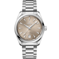 Seamaster Aqua Terra Shades 38 mm, acciaio su acciaio - 22010382009001