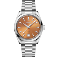 Seamaster Aqua Terra Shades 38 mm, acciaio su acciaio - 22010382012001