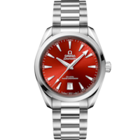 Seamaster Aqua Terra Shades 38 mm, acciaio su acciaio - 22010382013003